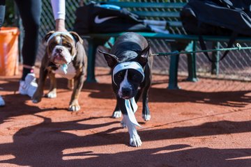 Trainingstag am 20.4.19 3 - Training mit Carina
